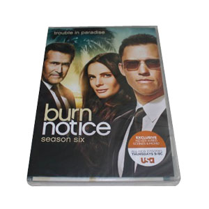 Burn Notice Season 6 DVD Box Set - Click Image to Close